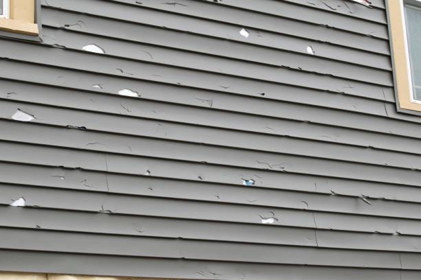 Best Siding Removal and Disposal  in New Chicago, IN